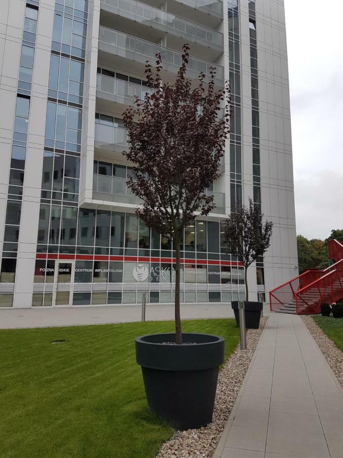 Apartament Towarowa 37 Poznań Exterior foto